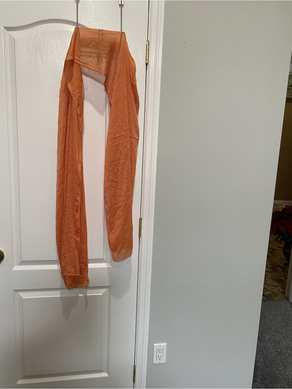 Lightweight Orange Sheer Scarf - Women's Wrap